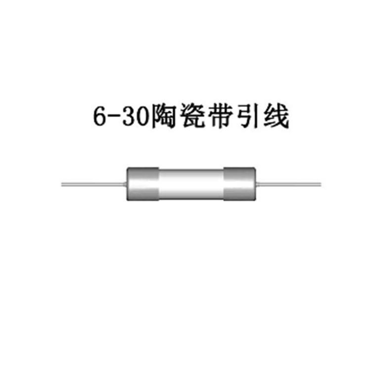 厂家直供6*30陶瓷带线保险丝