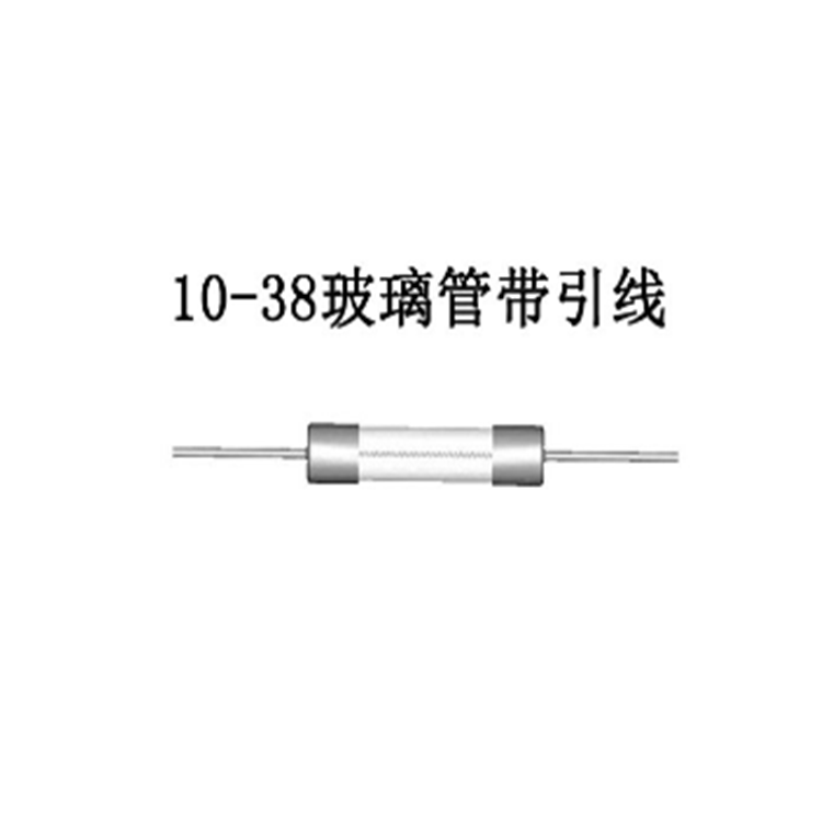 工厂供应10*38玻璃带引线保险丝保险管